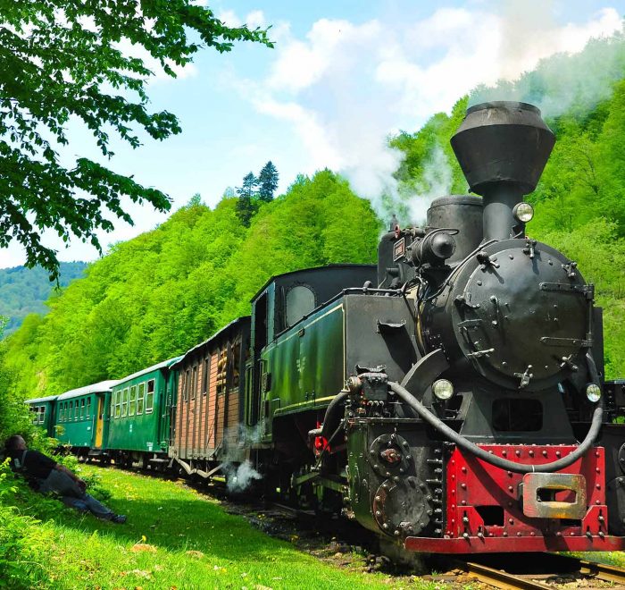 Mocanita pe Valea Vaserului, Maramures