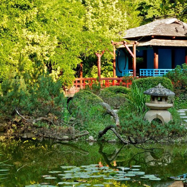 Cluj_Grădina Botanică